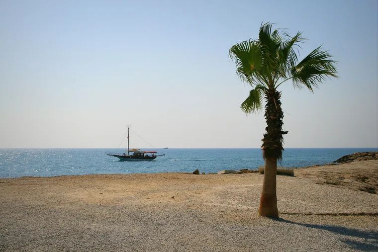Palme og båt på en stille strand