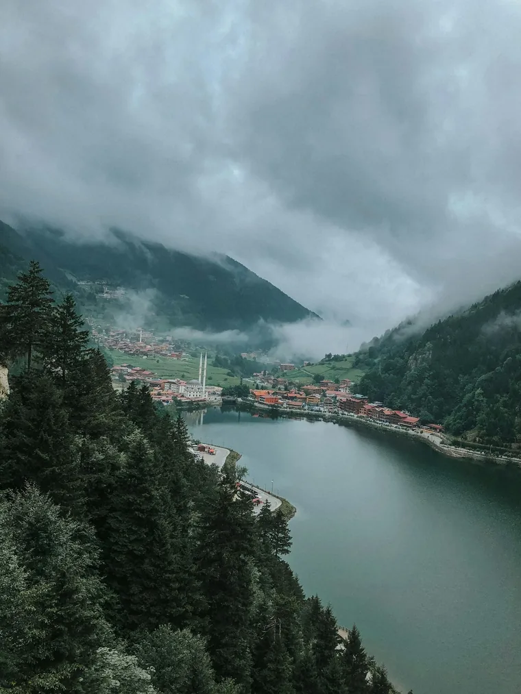 Skogkledde daler i skydekke