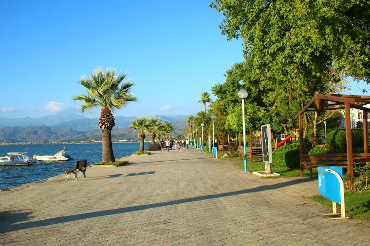 Palmepromenade langs stranden